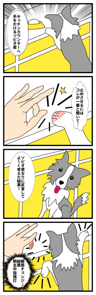 手をかける犬